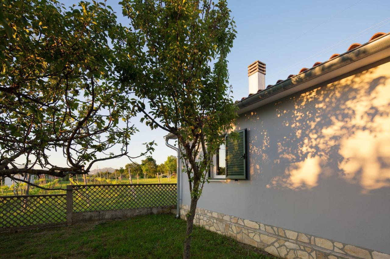 Villa Amaryllis Labin (Istria) Exterior foto
